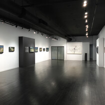 Una ventana abierta - ARCADIA CONTEMPORARY