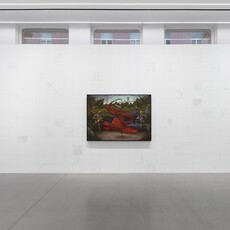 Alejandro Cárdenas – ‘ARAÑENA’ - Almine Rech