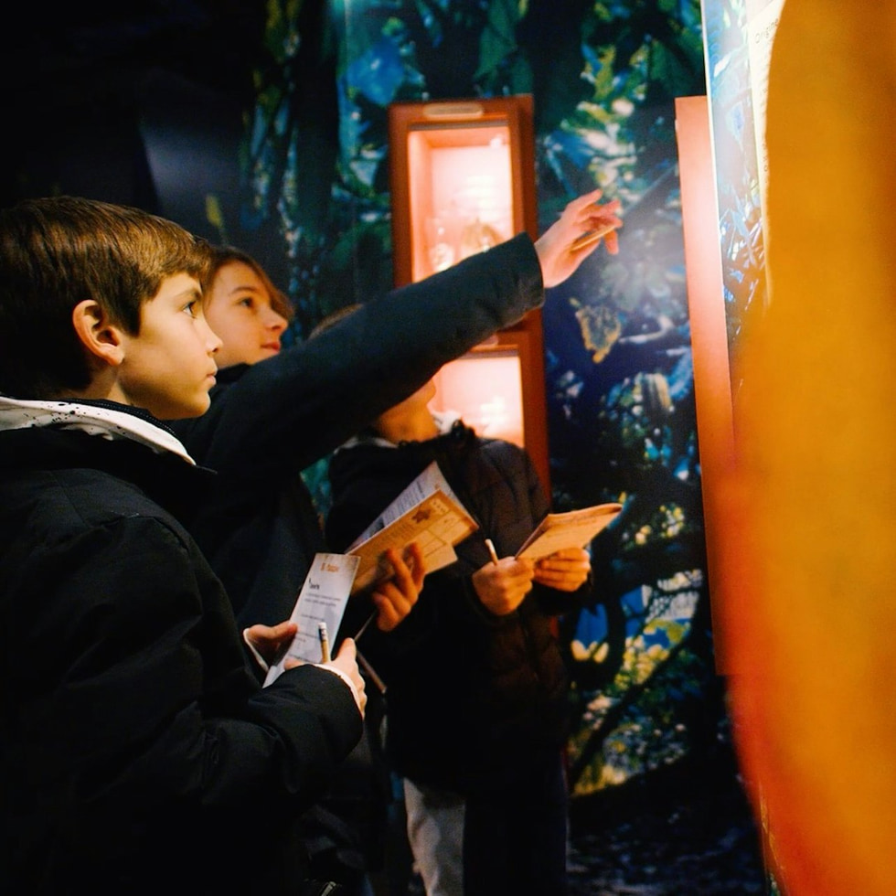 Historia de Chocolate París – Museo del Chocolate - Musée du Chocolat