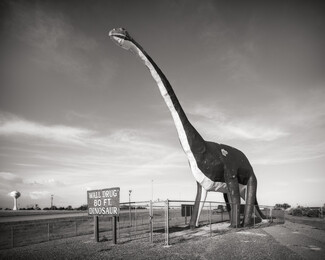 ¡Dinosaurios! - Soho Photo Gallery