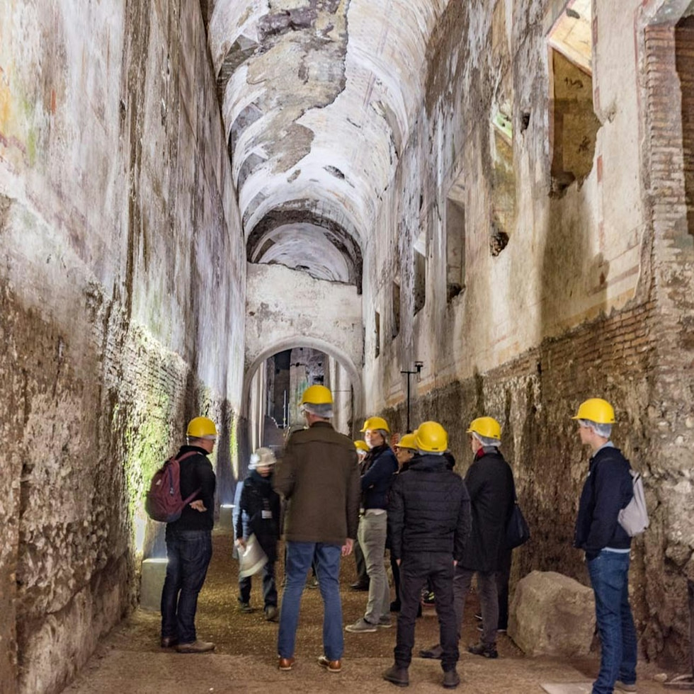 Domus Aurea: Entradas - Domus Aurea