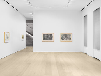 杰斯·约翰斯:摹仿/追迹 - David Zwirner