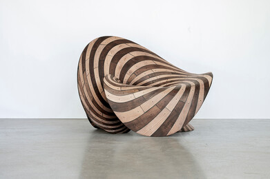 Joris Laarman: SYMBIO - Friedman Benda