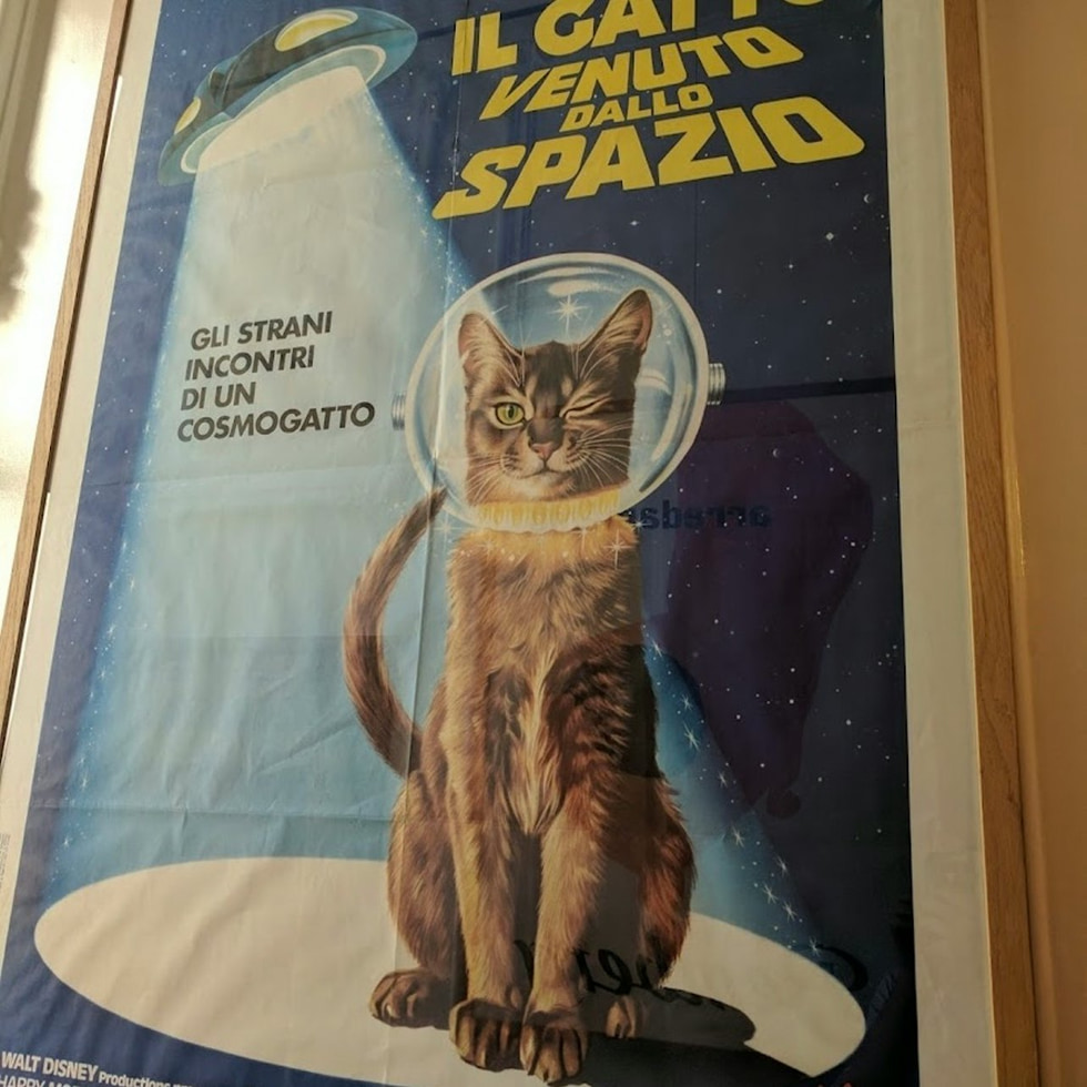 Le Cabinet des Chats - Le Cabinet des Chats