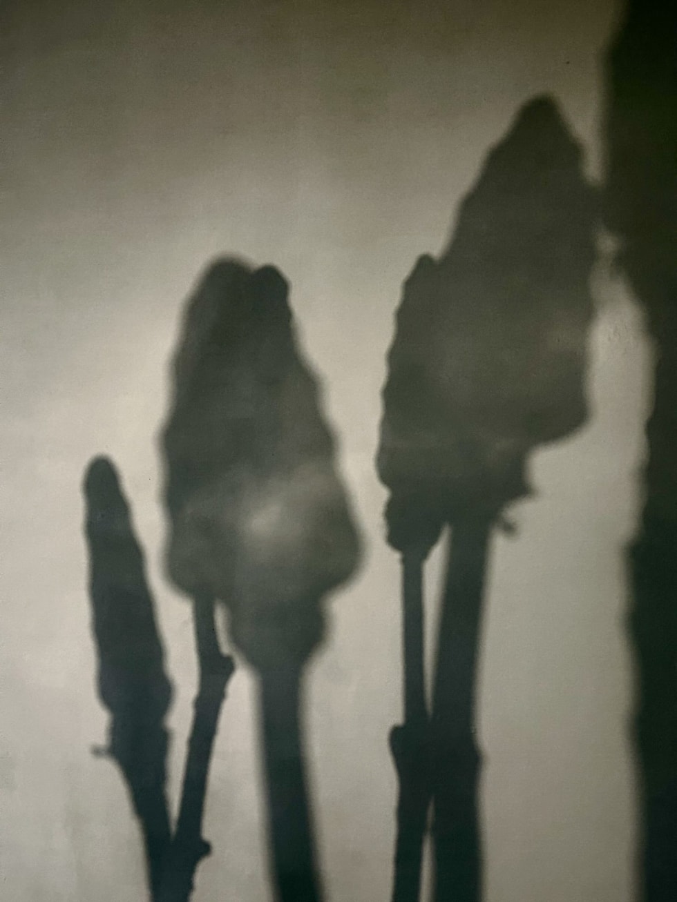 Leonard Ursachi: American Arsenal - Canton Projects