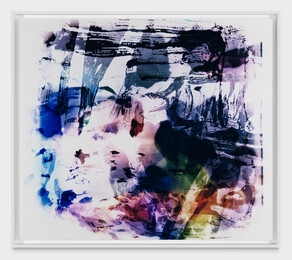 Matt Saunders: Por un Sendero Invadido de Maleza - Marian Goodman Gallery