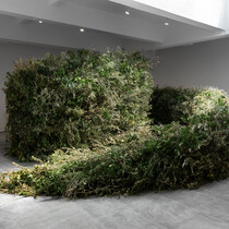 Meg Webster: Matorral - Paula Cooper Gallery