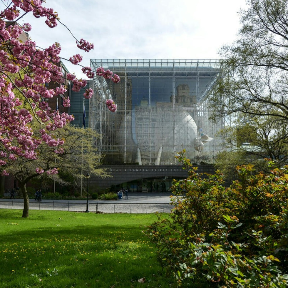 Musée américain d'histoire naturelle (AMNH) : Le Centre Rose pour la Terre et l'Espace - Centre Frederick Phineas et Sandra Priest Rose pour la Terre et l'Espace