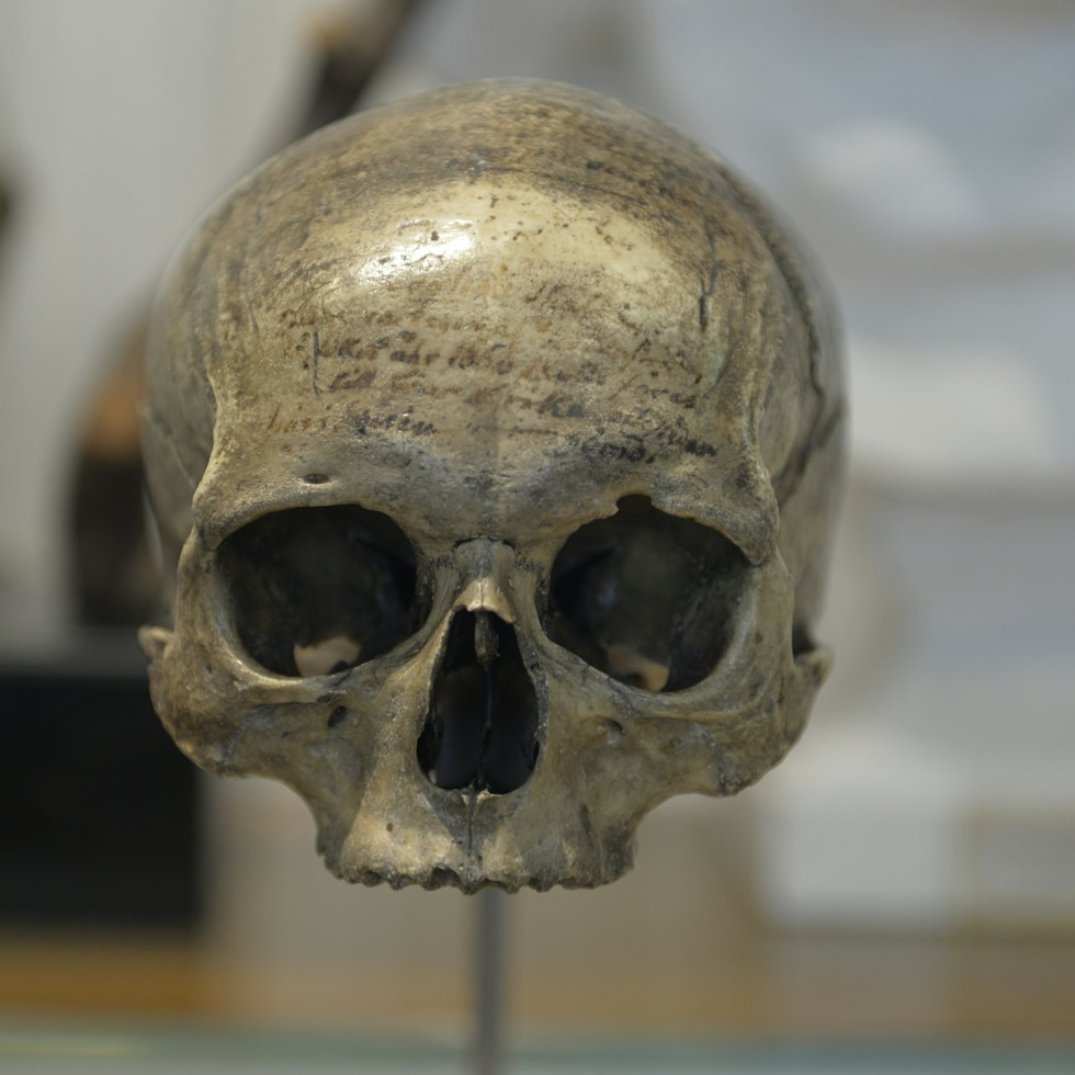 人類學博物館 - Musée de l’Homme