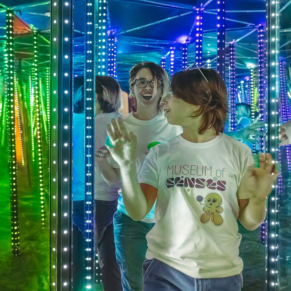 Museo de los Sentidos Madrid: Entrada - Musée des sens Madrid