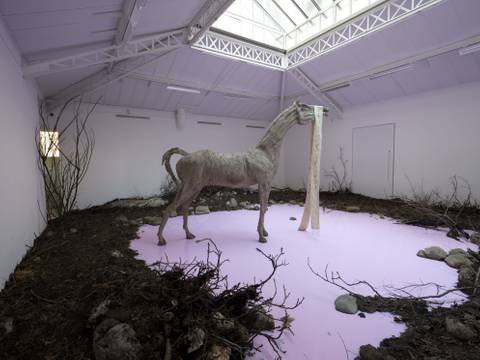 Nothing As Our Ground - Ethnologisches Museum