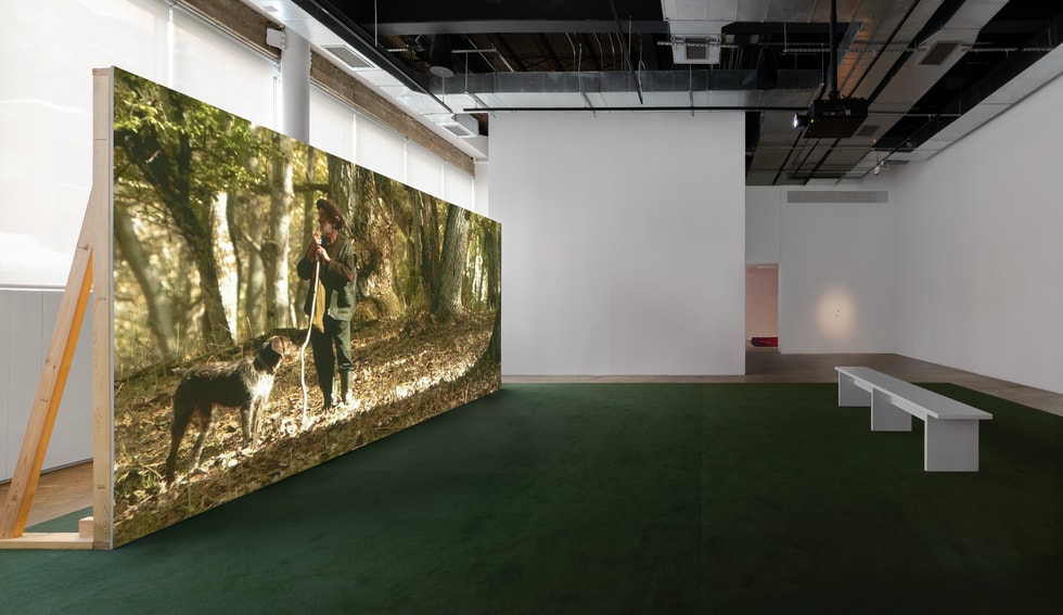 Saodat Ismailova: Trust - Swiss Institute