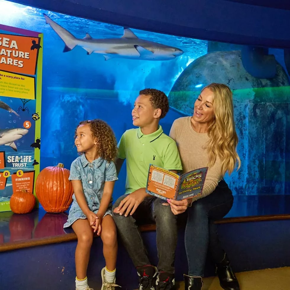 Sea Life Aquarium at American Dream - Aquarium Sea Life - New Jersey