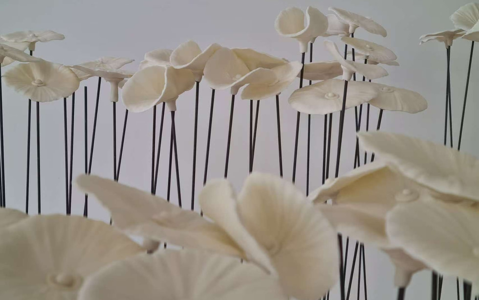 Einzelne „Alice im Traumreich“: XiaoWei Yuan - LooLooLook Gallery
