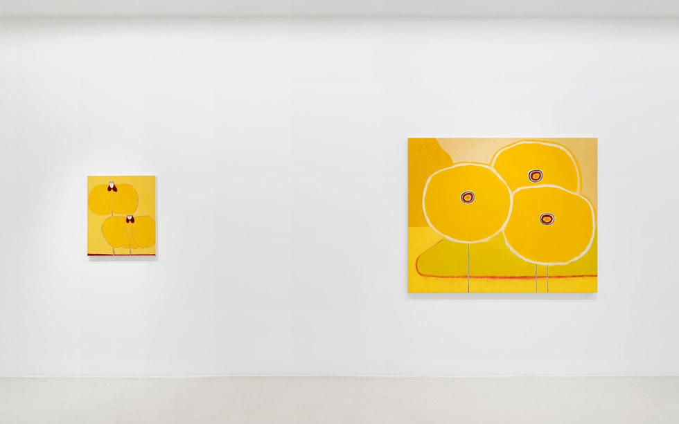 Сумэму Камиджо. Когда я думаю о тебе весной. - Galerie Perrotin - Marais