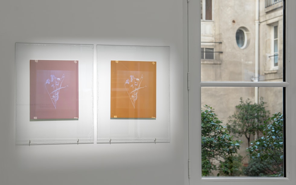 Guided Tour of the Exhibitions at the Swiss Cultural Centre + Refreshments - Centre culturel suisse Paris